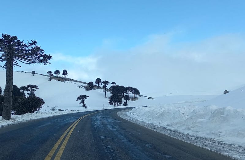Camino con nieve en el Paso Pino Hachado